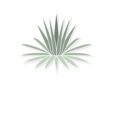 <span>Agave Hospice and Palliative Care</span>