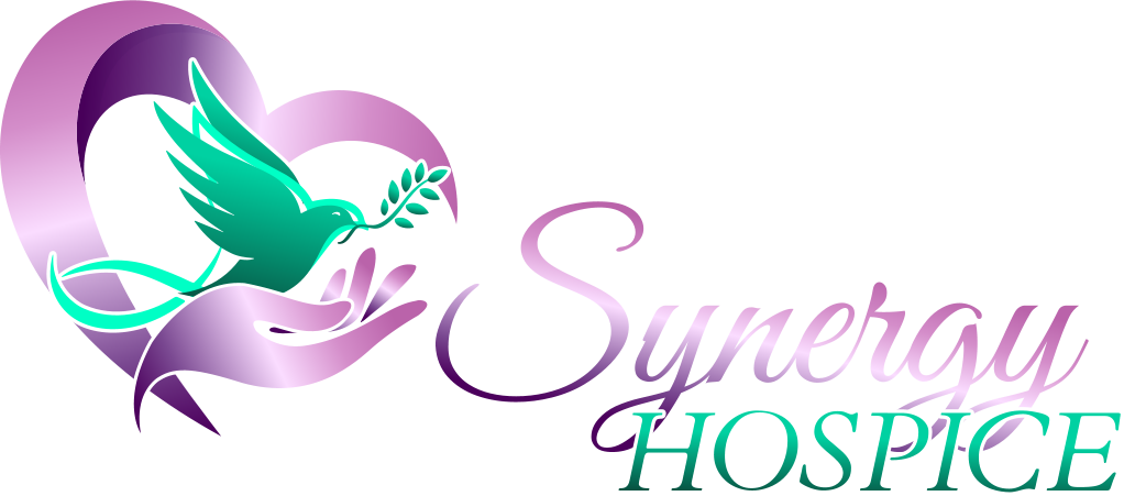 Synergy Health Services Inc
