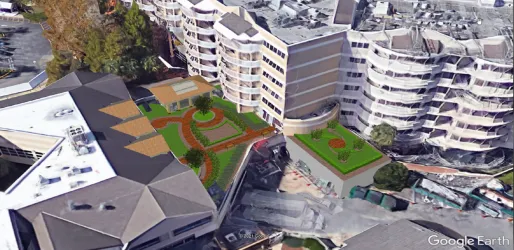 Roof Garden