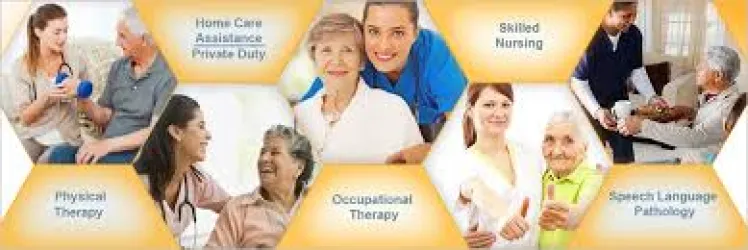 Bee Well Home Health Care, Inc